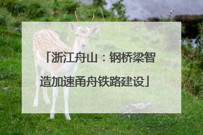 浙江舟山：钢桥梁智造加速甬舟铁路建设